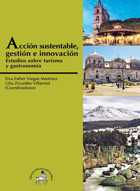 Imagen Libro Accion sustentable gestion e innovacion