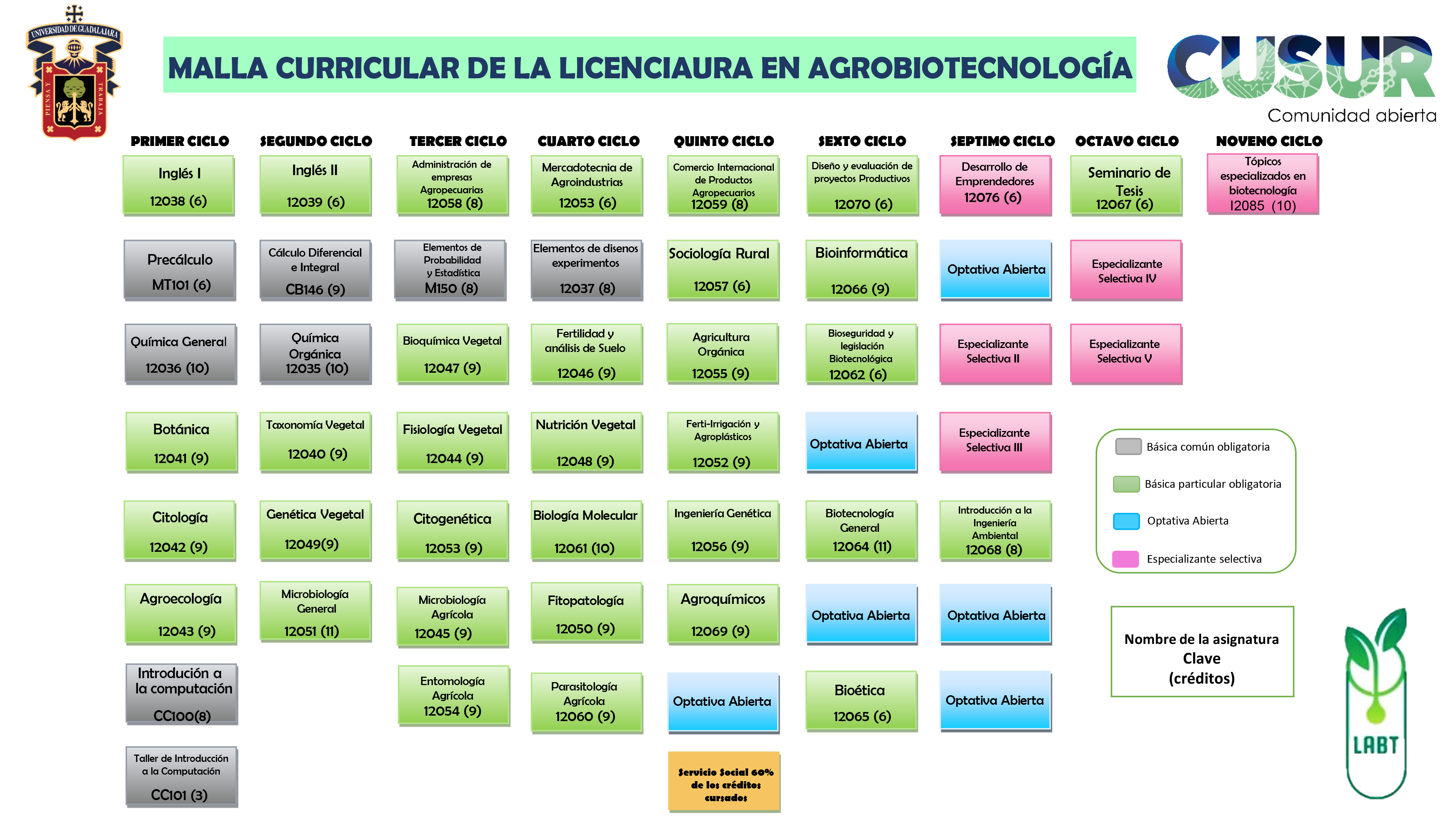 Mapa Curricular de la Licenciatura en Agrobiotecnología