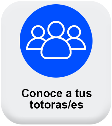 Conoce a tus tutores