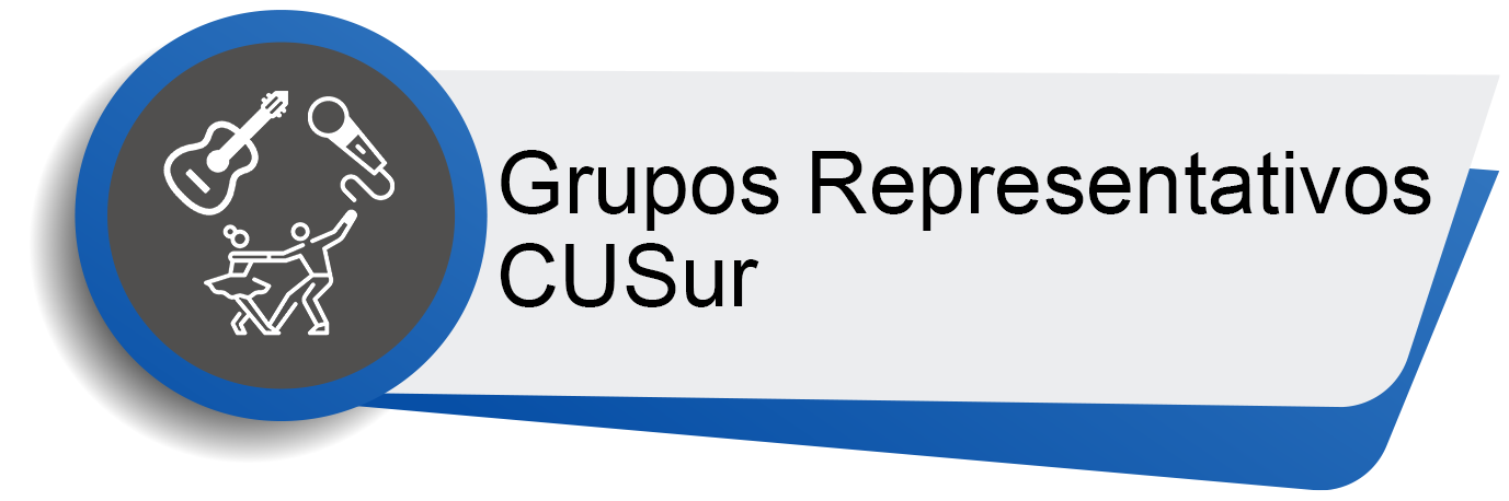 grupos representativos cusur