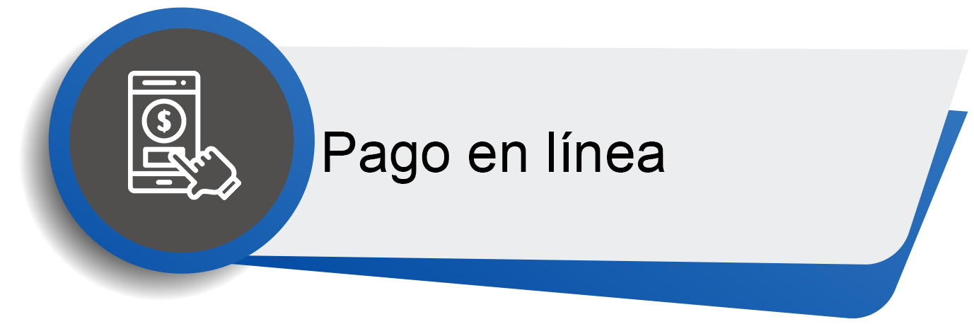 pago en linea