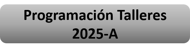 Programación Talleres 2025A