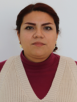 Lic. Brenda Karina Mena Gómez