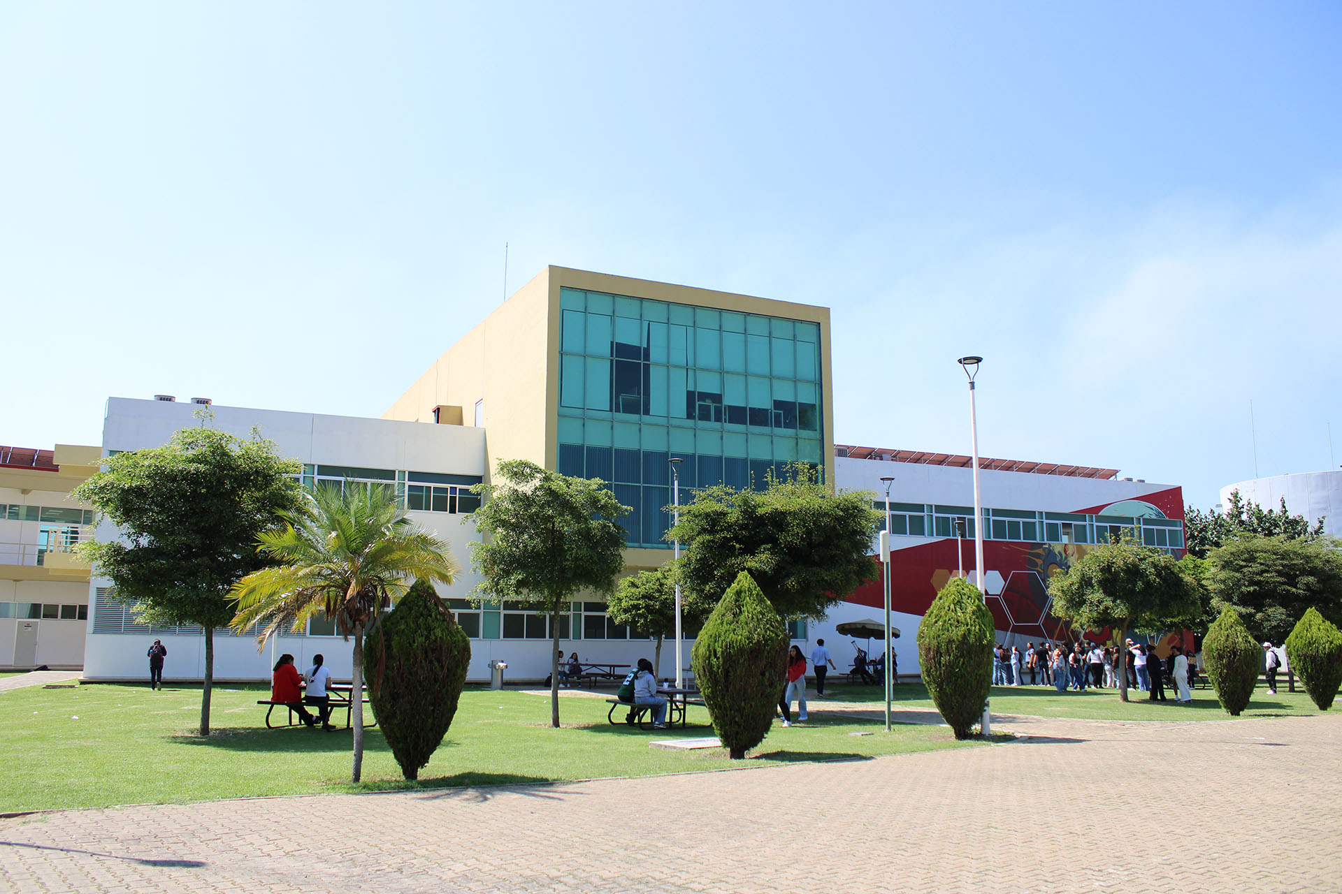 coordinacion de extension