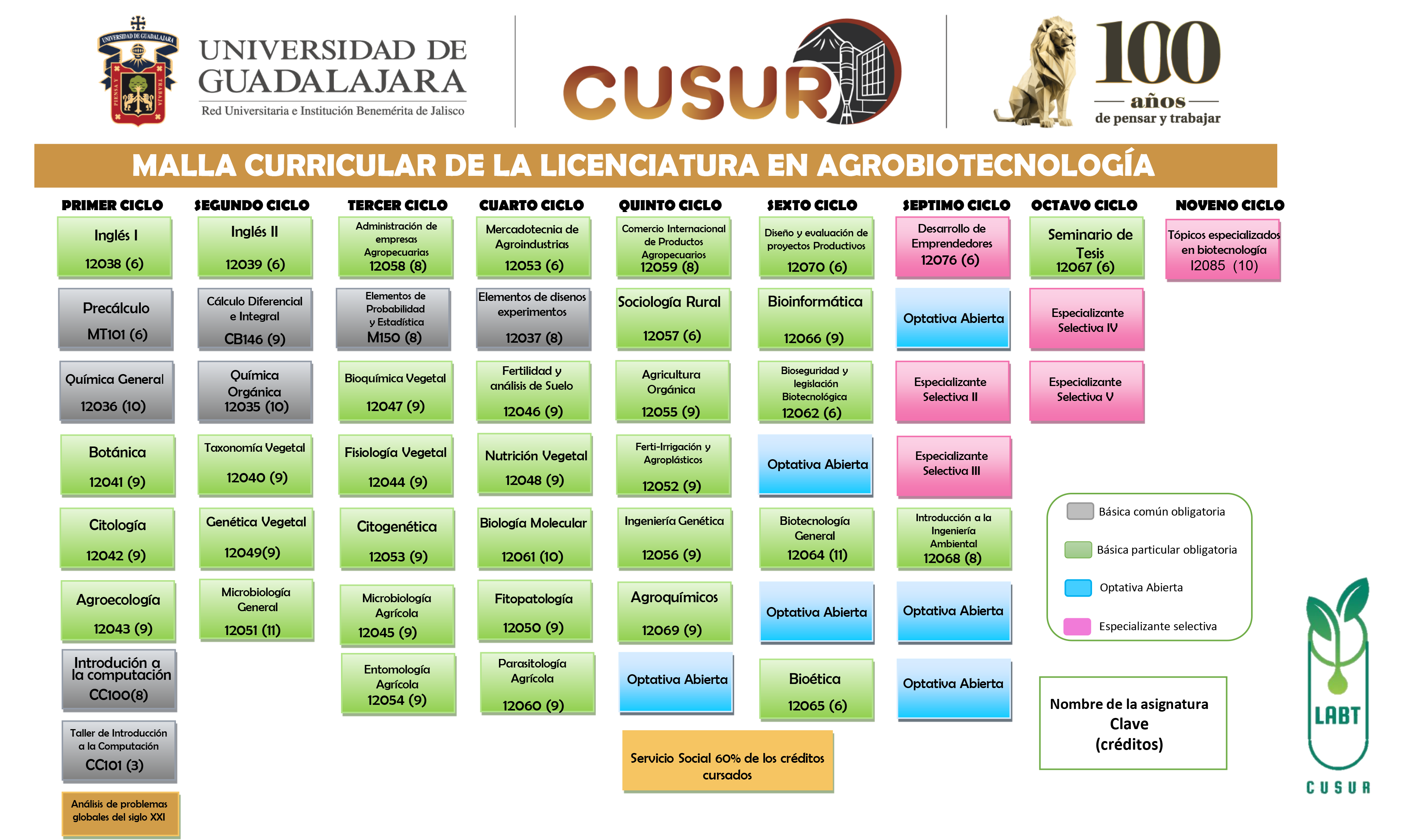 Mapa Curricular de la Licenciatura en Agrobiotecnología