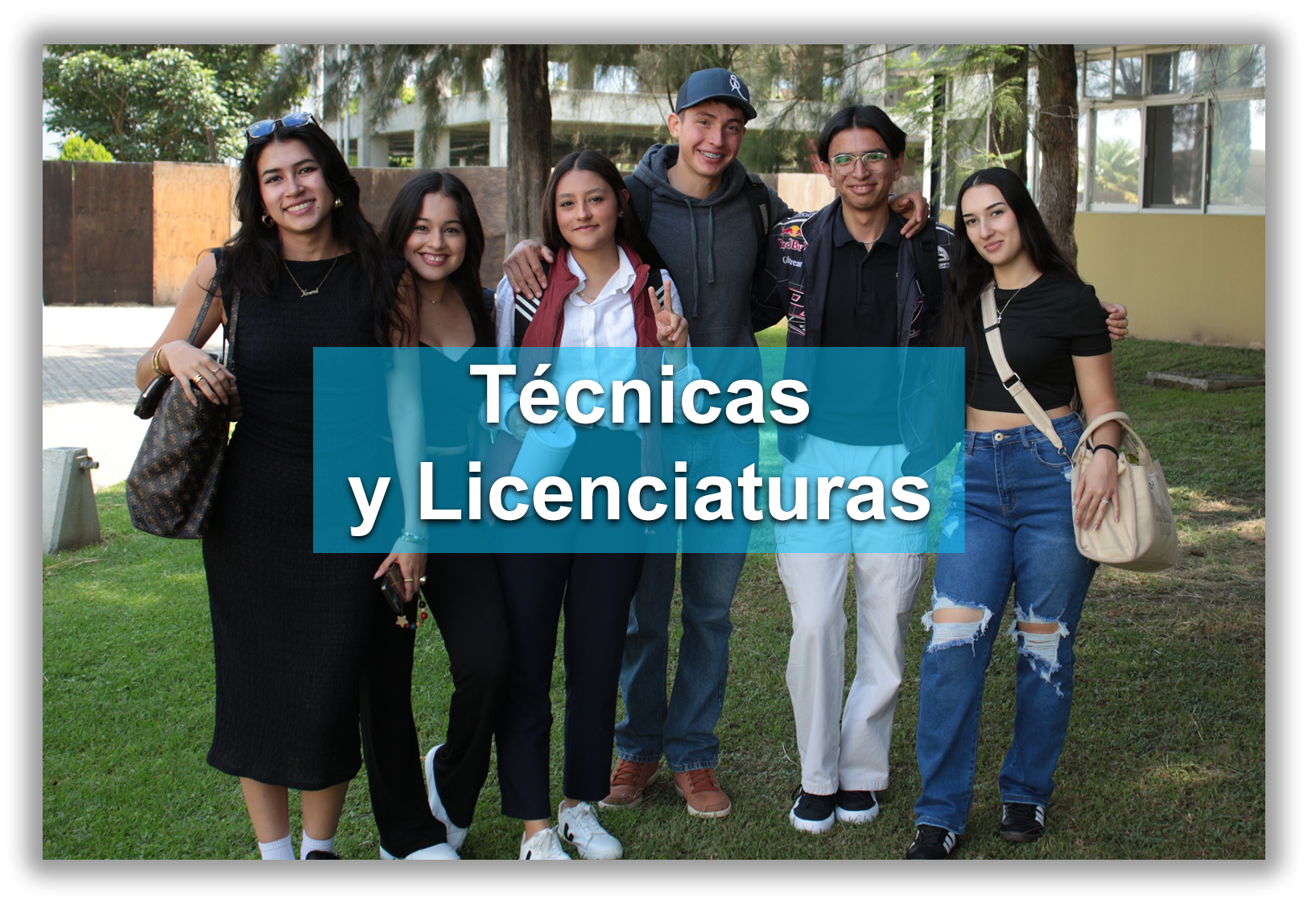 técnicas y licenciaturas