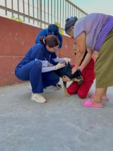 Brigada del CUSur apoya con vacunación antirrábica a municipio de Tonila