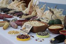 “Semillas y sabores” da voz a los campesinos de la región