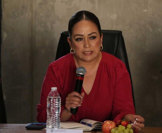 Tres perfiles con trayectoria institucional aspiran a la Rectoría del CUSur