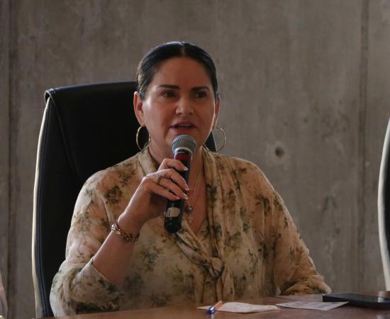 Tres perfiles con trayectoria institucional aspiran a la Rectoría del CUSur