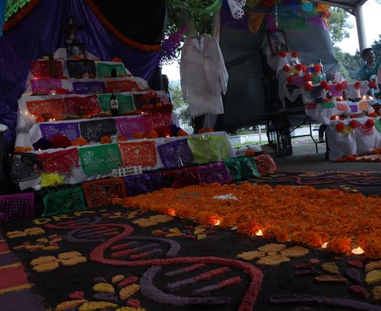 El Cusur celebra el Día de Muertos con creatividad y tradición en su Concurso de Altares 2025