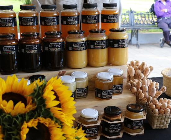 Celebran la 8va edición de la Feria Jalisciense de la miel