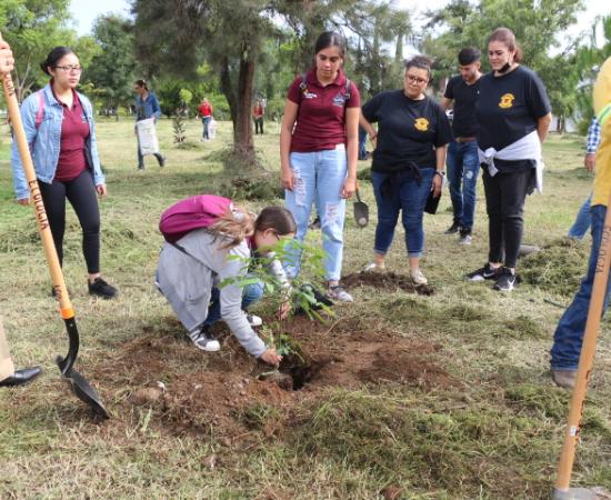 Arrancan las actividades de reforestación en Zapotlán