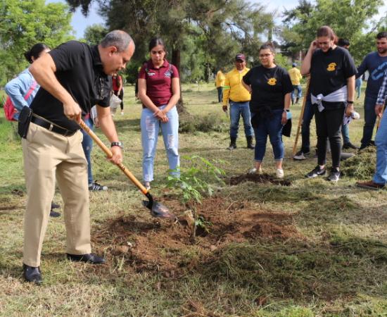 Arrancan las actividades de reforestación en Zapotlán