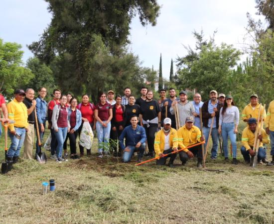 Arrancan las actividades de reforestación en Zapotlán