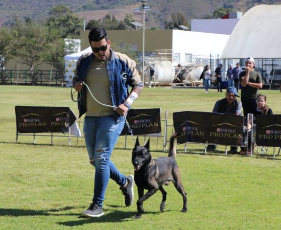 Presentan el Primer match de belleza canina en el CUSur