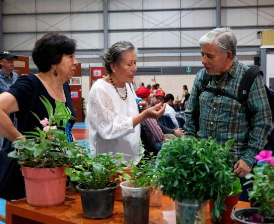 Exitoso cierre del ciclo 2024-A del SUAM con participación activa de adultos mayores