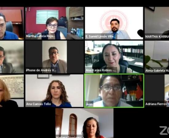 CUSur es sede de seminario virtual de investigación sobre China