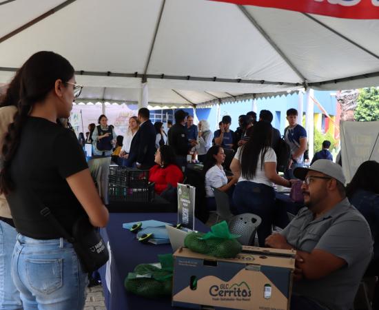 CUSur realizó la Tercera Feria del Empleo 2026 con la participación de 35 empresas