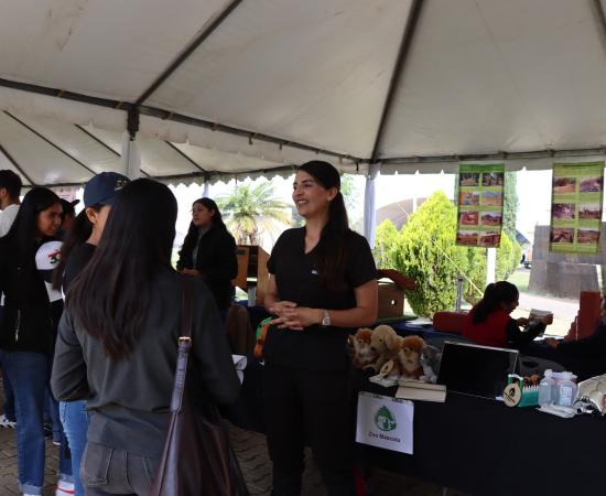 CUSur realizó la Tercera Feria del Empleo 2026 con la participación de 35 empresas