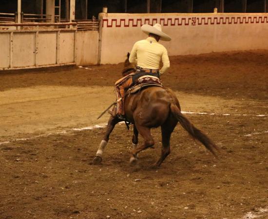 Charros del CUSur brillan en Tamazula en evento que celebra tradición y valores