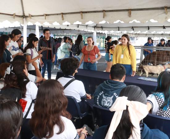Más de 3 mil personas participan en la XII Feria de la Ciencia y la Tecnología en el CUSur 