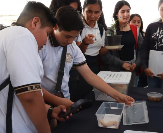Más de 3 mil personas participan en la XII Feria de la Ciencia y la Tecnología en el CUSur 
