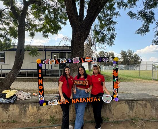 CUSur conmemoró el Día Internacional para la Eliminación de la Violencia contra la Mujer y la Niña