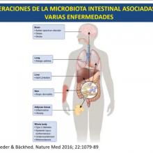 Conferencia Microbiota intestinal y salud global