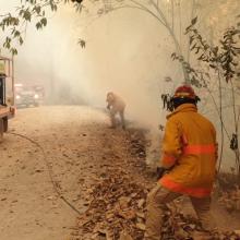 Foto 1. Nota Colabora CUSur en acciones para abatir incendio forestal