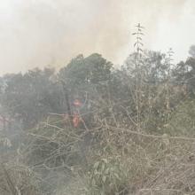 Foto 2. Nota Colabora CUSur en acciones para abatir incendio forestal