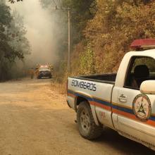 Foto 5. Nota Colabora CUSur en acciones para abatir incendio forestal