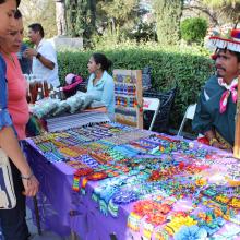 CUSur, Festival del maguey, Ciudad Guzmán, pulque, Zapotlán, UdeG, Conaculta