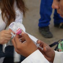 Foto 2. Nota Universitarios aplicarán cerca de 16 mil dosis en Campaña de vacunación antirrábica
