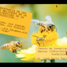 Dr. José María Tapia González. Importancia de las abejas en los ecosistemas