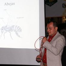 abejas, polinización, agricultura, CUSur, Feria de la Miel