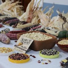Semillas y sabores campesinos del sur de Jalisco