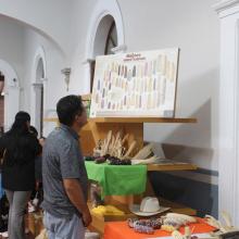 Semillas y sabores campesinos del sur de Jalisco