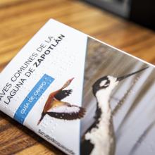 Foto 2. Nota Crean en CUSur la primera guía incluyente en el país para el cuidado de aves en la Laguna de Zapotlán