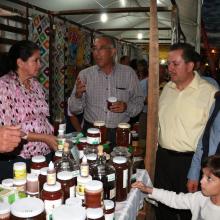 miel, apicultura, sur de Jalisco, CUSur, Ciudad Guzmán
