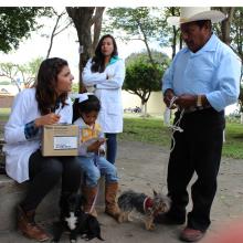 CUSur, vacunación antirrábica, medicina veterinaria, SSA Jalisco, Salud Animal
