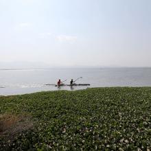 Foto única. Nota Estudiantes y académicos crean plataforma de monitoreo para la Laguna de Zapotlán