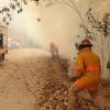 Foto 1. Nota Colabora CUSur en acciones para abatir incendio forestal
