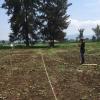 Trabaja CUSur en proyectos de agricultura sustentable