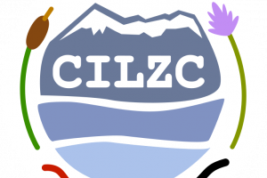 LOGO CILZC