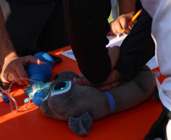 Estudiantes de Veterinaria en CUSur refuerzan su aprendizaje con rally académico
