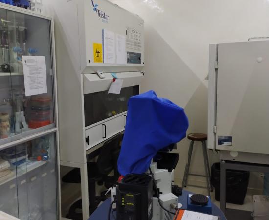 CIBIMEC 3