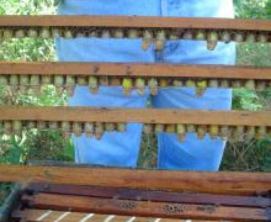 recovered_jpeg_digital_camera_369