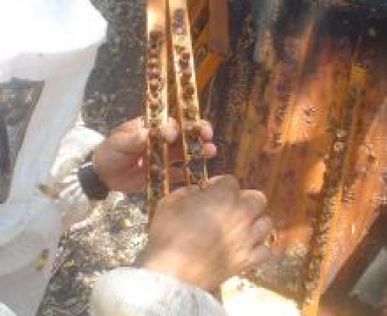 recovered_jpeg_digital_camera_401